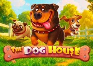tiger1688 The Dog House ทดลองเล่นฟรี